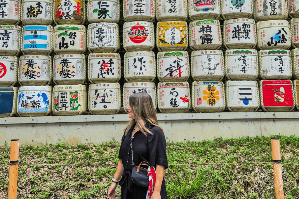 que ver y hacer en tokio - preparando el viaje a
