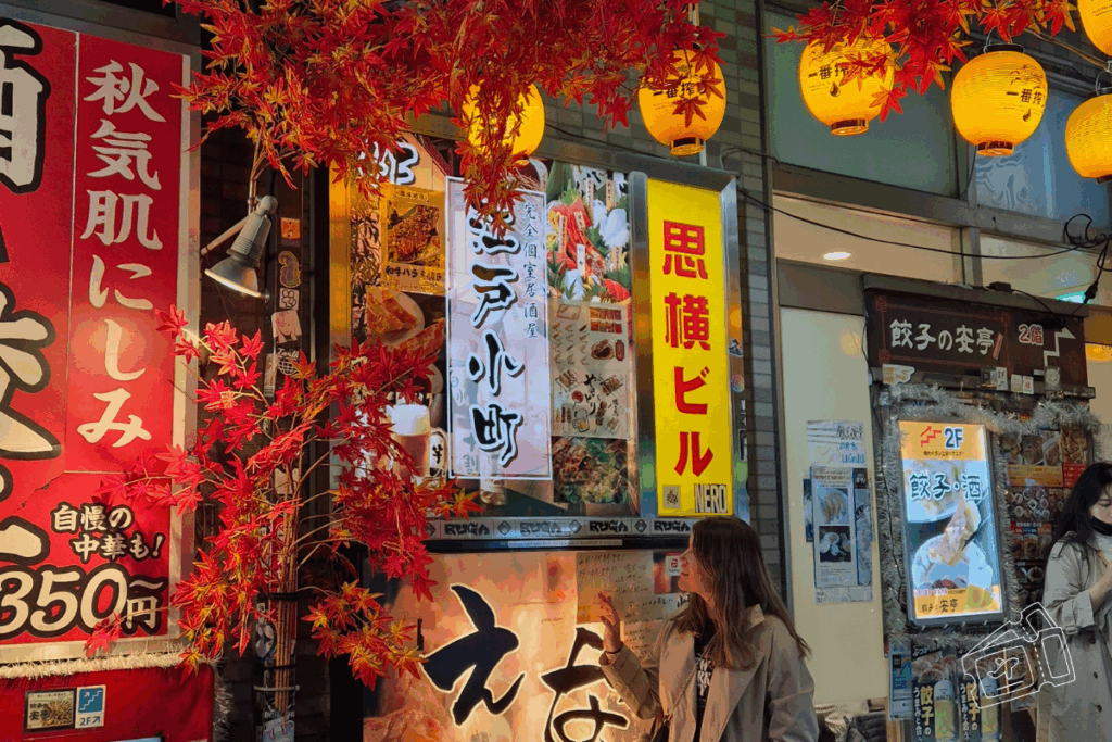 que ver y hacer en tokio - preparando el viaje a