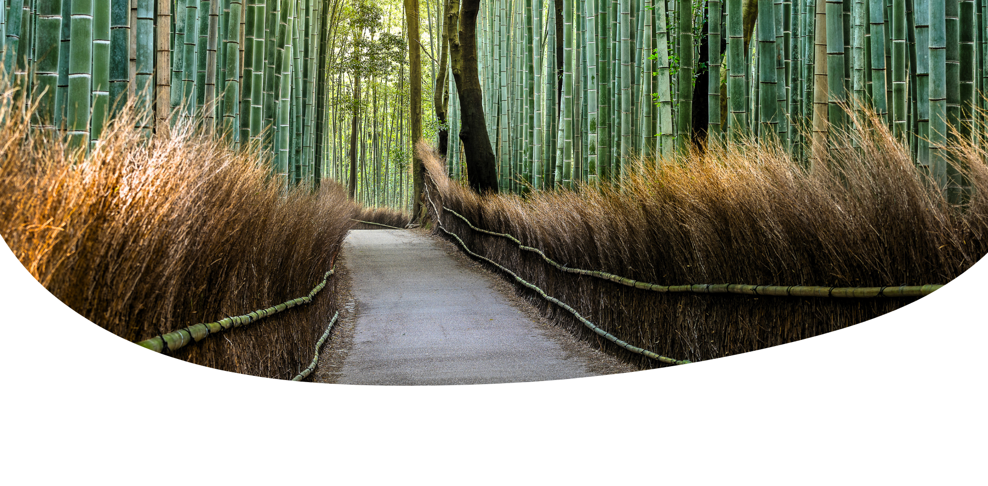 Guia de japón, preparando el viaje a