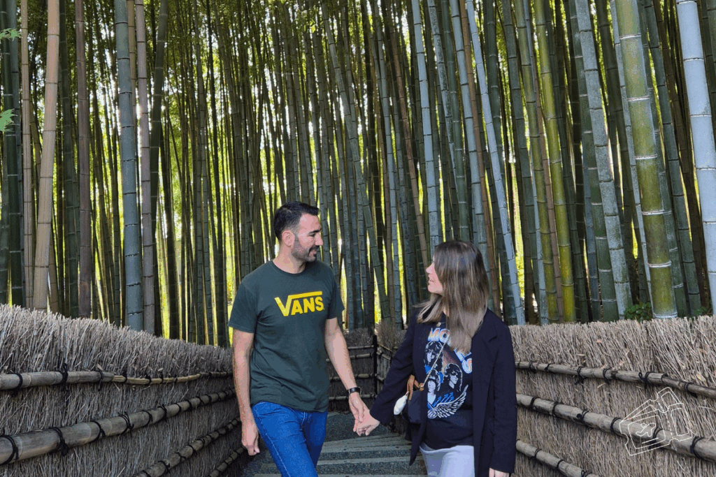 guia de japon, kioto