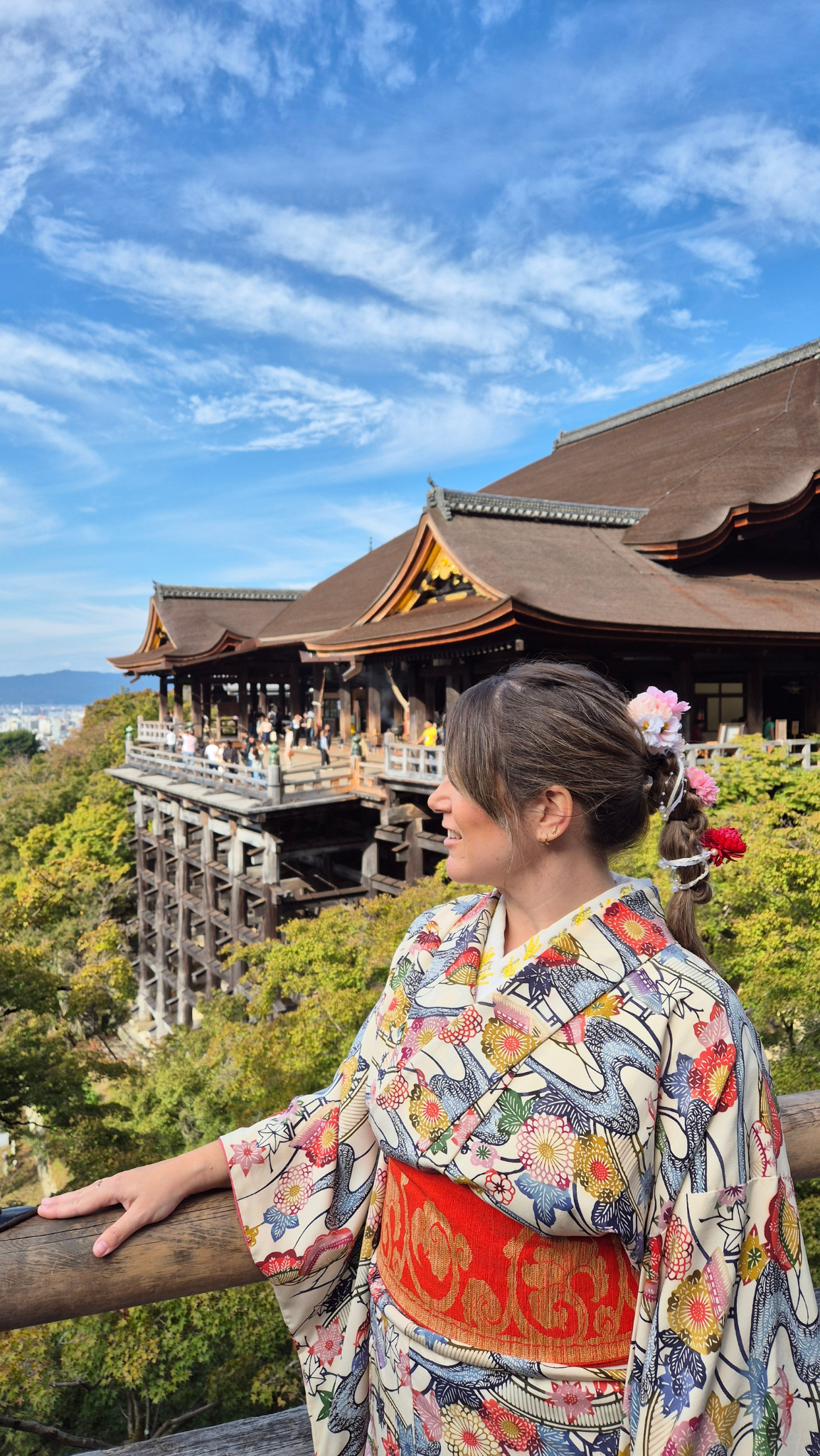 preparando el viaje a japon