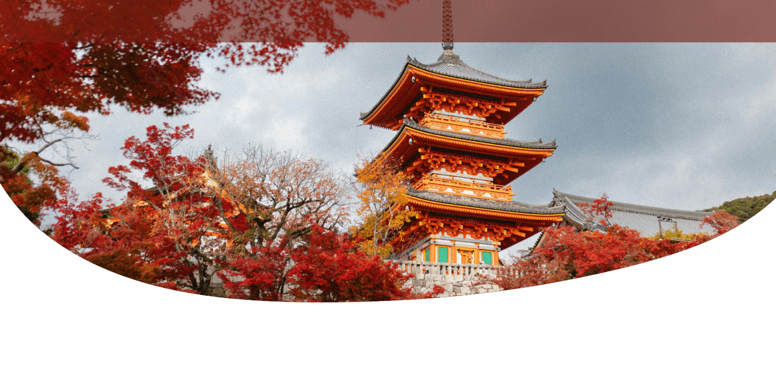 preparando el viaje a japon