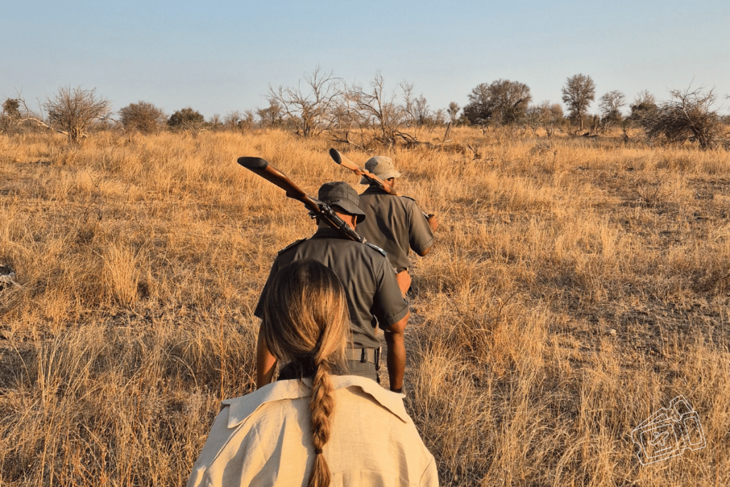 safari kruger sudafrica por libre