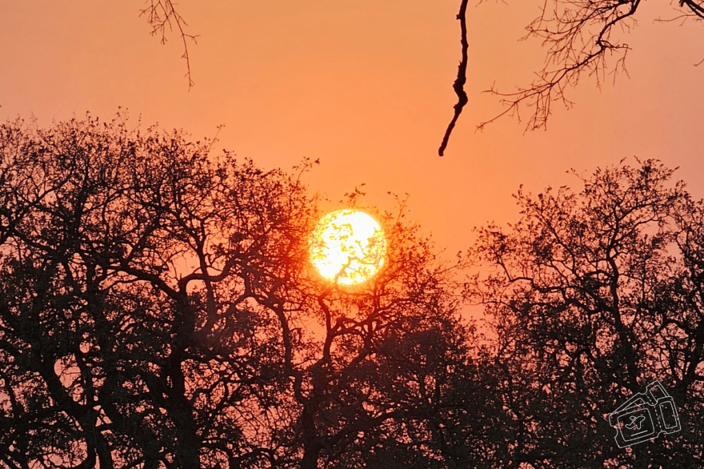 safari kruger sudafrica por libre