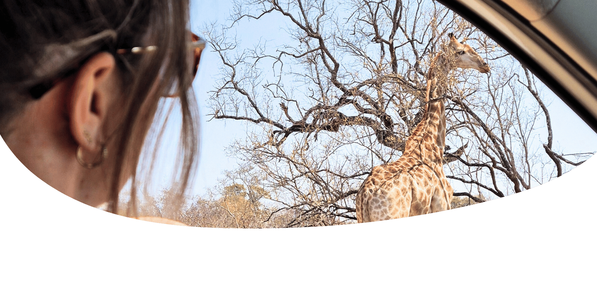 safari kruger sudafrica por libre